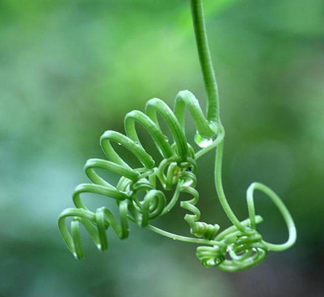 念什么咒语会改变运气,念什么咒语能让你运气变好