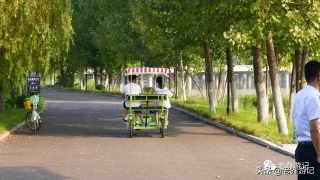 阳光有氧运动,阳光有氧跑步