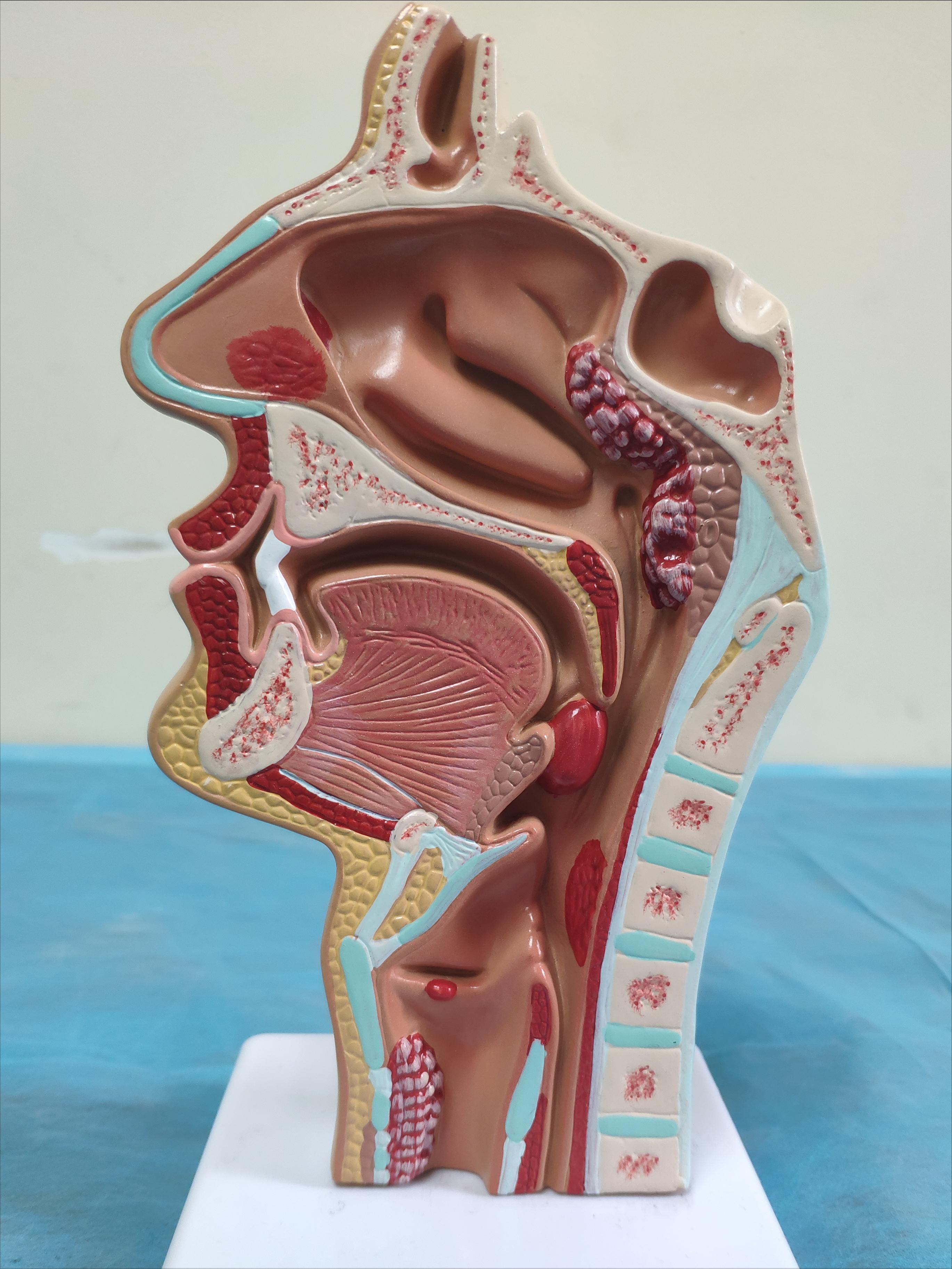 4岁男孩脾气暴躁是有病吗,4岁孩子脾气暴躁易怒是缺什么吗