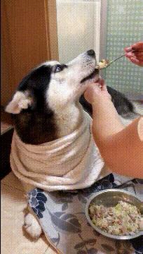 球不是这样踢滴搞笑图片,足球趣图搞笑图片