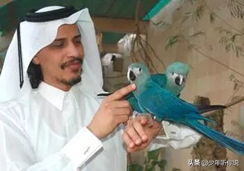 近期因为人类导致的物种灭绝,科普五次物种灭绝事件