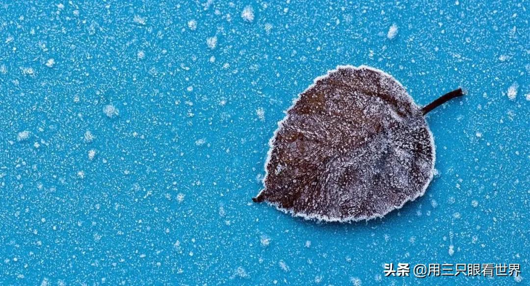 ​有些小事很小，坚持下来也能变成修行