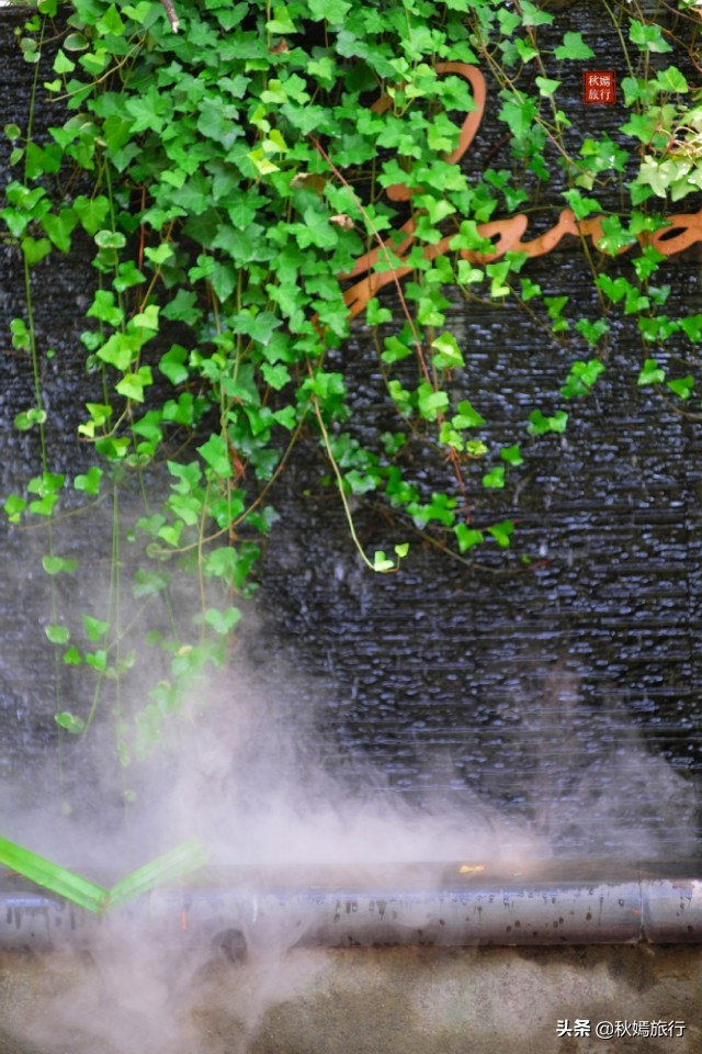 常熟有没有优雅一点的西餐厅,常熟新开网红餐厅