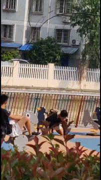 老爸叫我把谷子装进袋里，结果我玩游戏忘了！现在该怎么办？