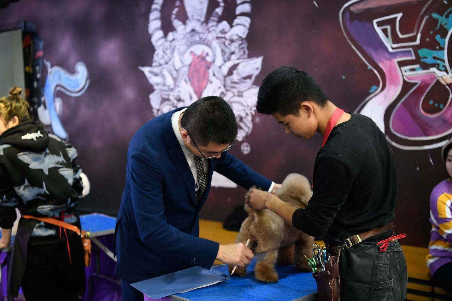 首届宠物美容商业造型交流会暨萌宠修剪赛圆满落幕