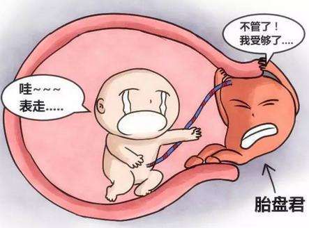 前置胎盘能保胎到足月吗,前置胎盘的孕妇最佳的处理方法