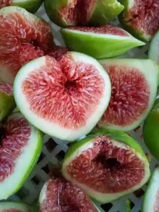 山东荣成定居好不好,外地人荣成落户条件