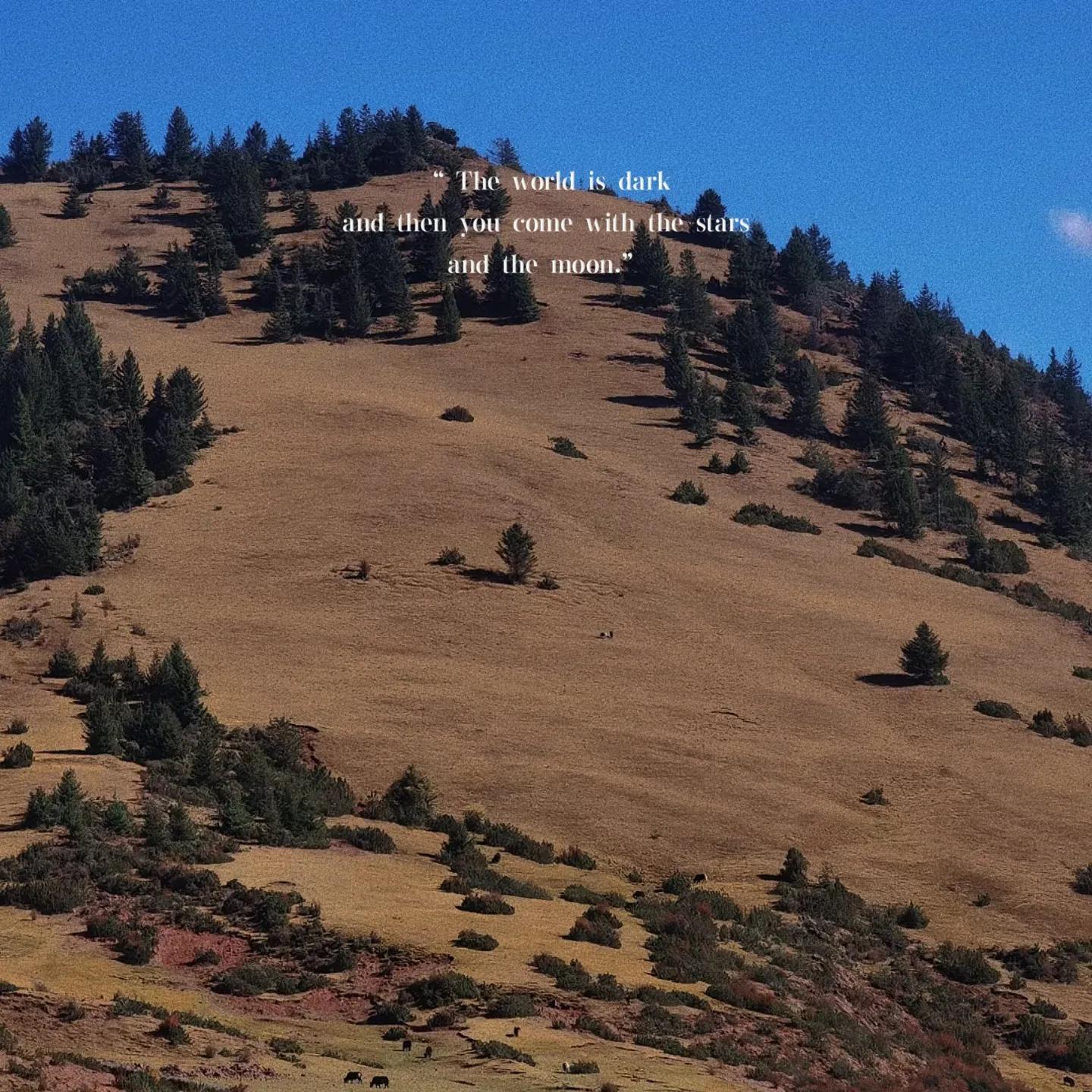 一个酒吧服务员大概是多少个,酒吧服务员经历怎么样写