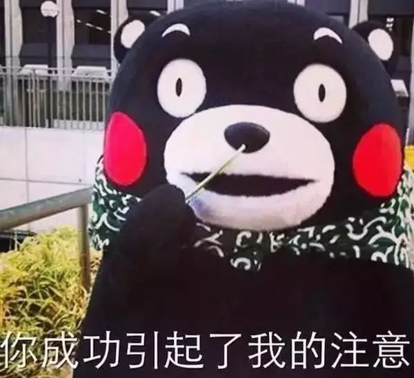 庐阳老城内藏着一处最大的综合性森林公园，人少景美，关键还免费