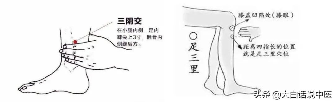 大白话说中医第七十九集,大白话说中医第二十集