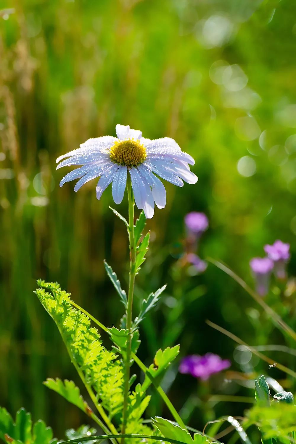 中国天路震撼视频,中国十大惊艳的天路