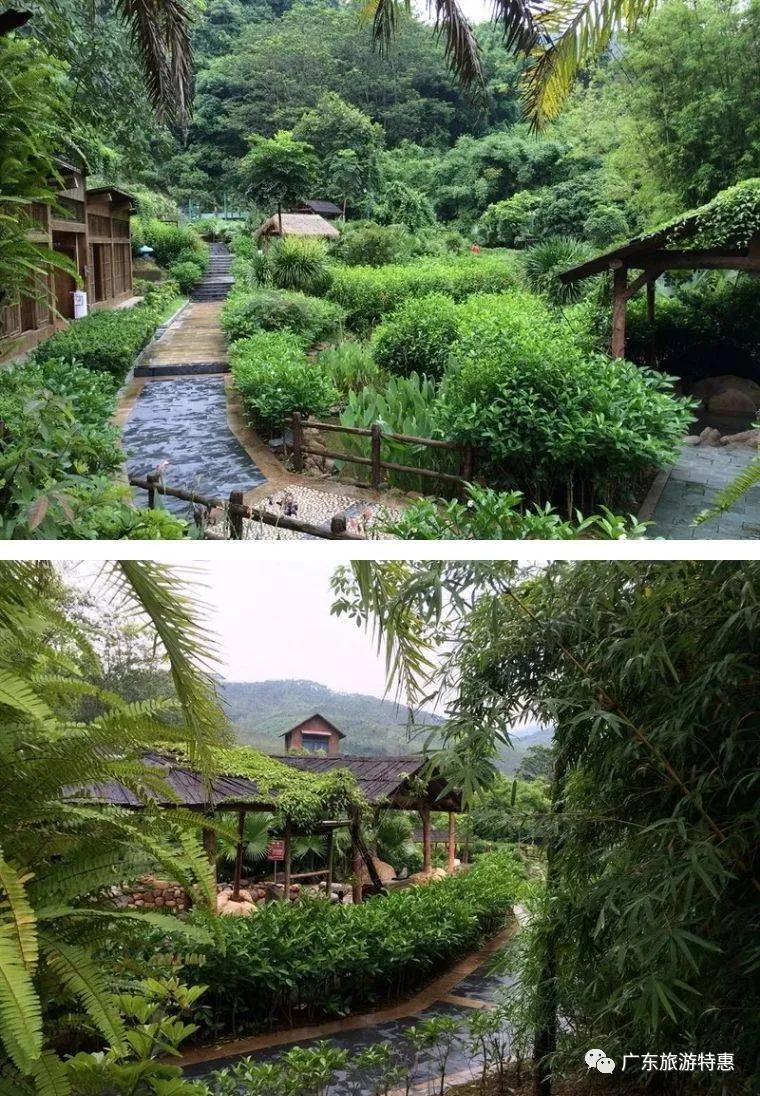住进山林秘境泡私家汤池,住进风景里享受原生态乡村生活