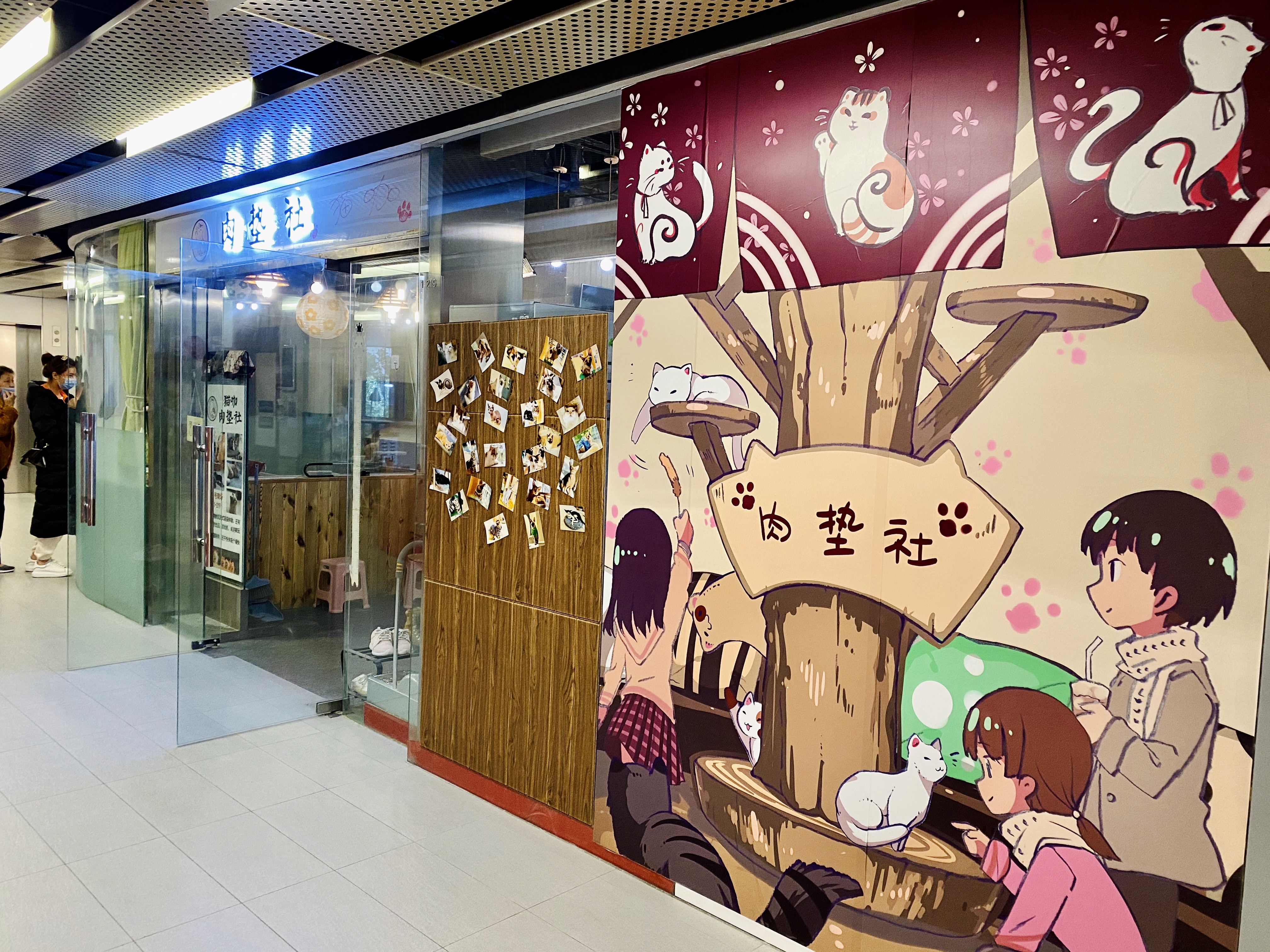 撸动物的网红店顺德,撸小动物的网红店北京世纪金源