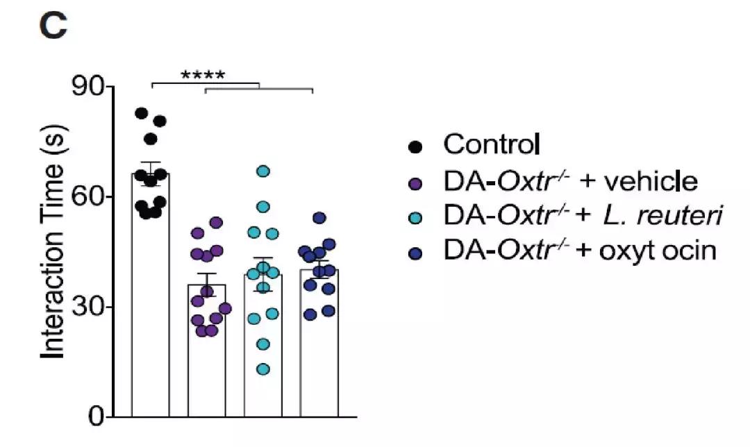 如何让小鼠告别自闭症,让孤独症儿童走出孤独
