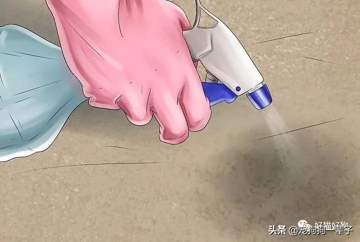 狗狗8个月还是乱拉乱尿怎么办,狗狗出了围栏就乱尿咋回事