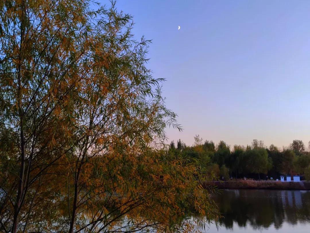 辽宁工程技术大学辽宁省分数线,辽宁工程技术大学在辽宁省排名