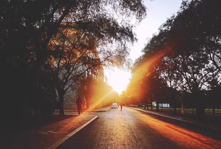 辽宁省普通高等院校,辽宁省沈阳本科大学