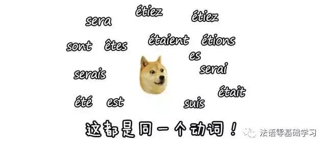 怎样学好法语口语,如何学会正宗的法语