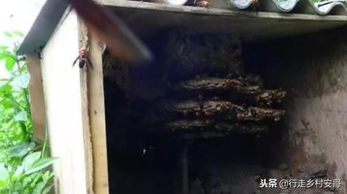 厌倦了打工那就开始创业吧,不想打工了有没有什么赚钱的办法