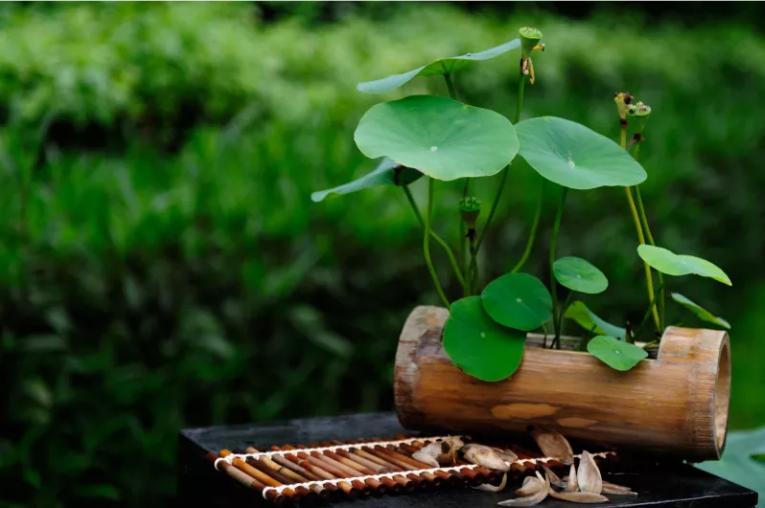 三伏天最好的汤清热解暑祛湿强身,抵御南方湿热健脾祛湿汤