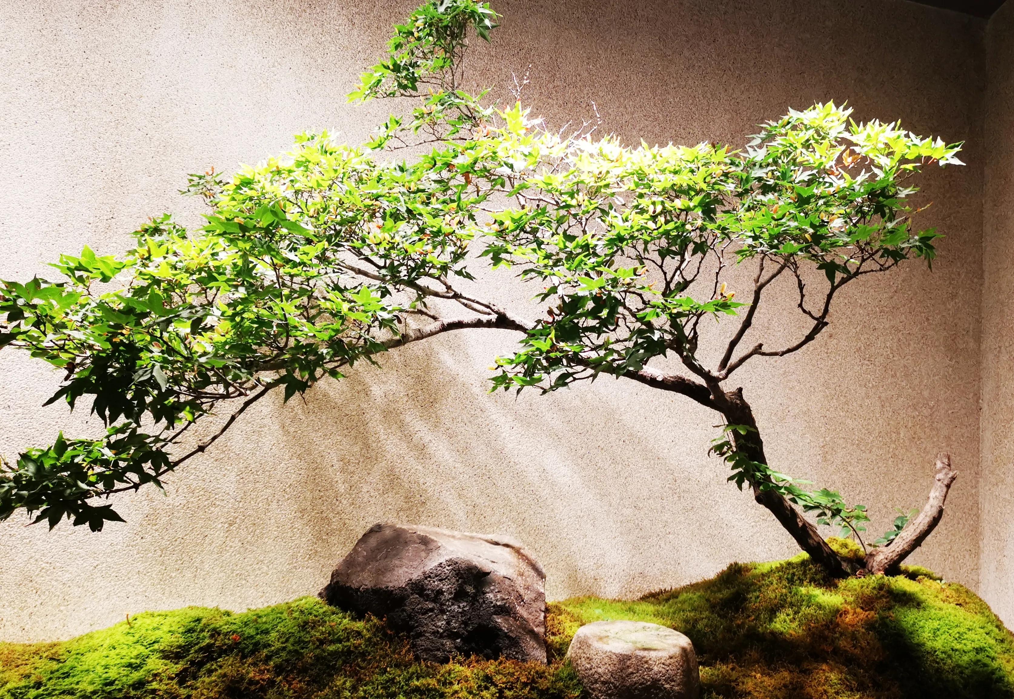 上海浦东正大广场晚餐推荐,陆家嘴正大广场美食6楼