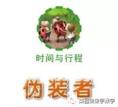 菜园虫虫学数学：伪装者（时间与行程）