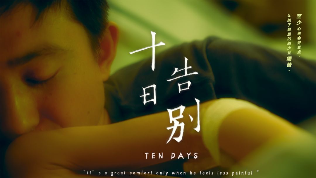 纽约国际电影节颁奖典礼完整版,纽约电视节