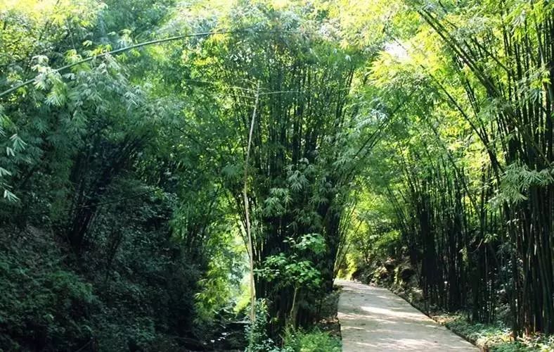 成都清凉耍水,成都周边免费露营耍水