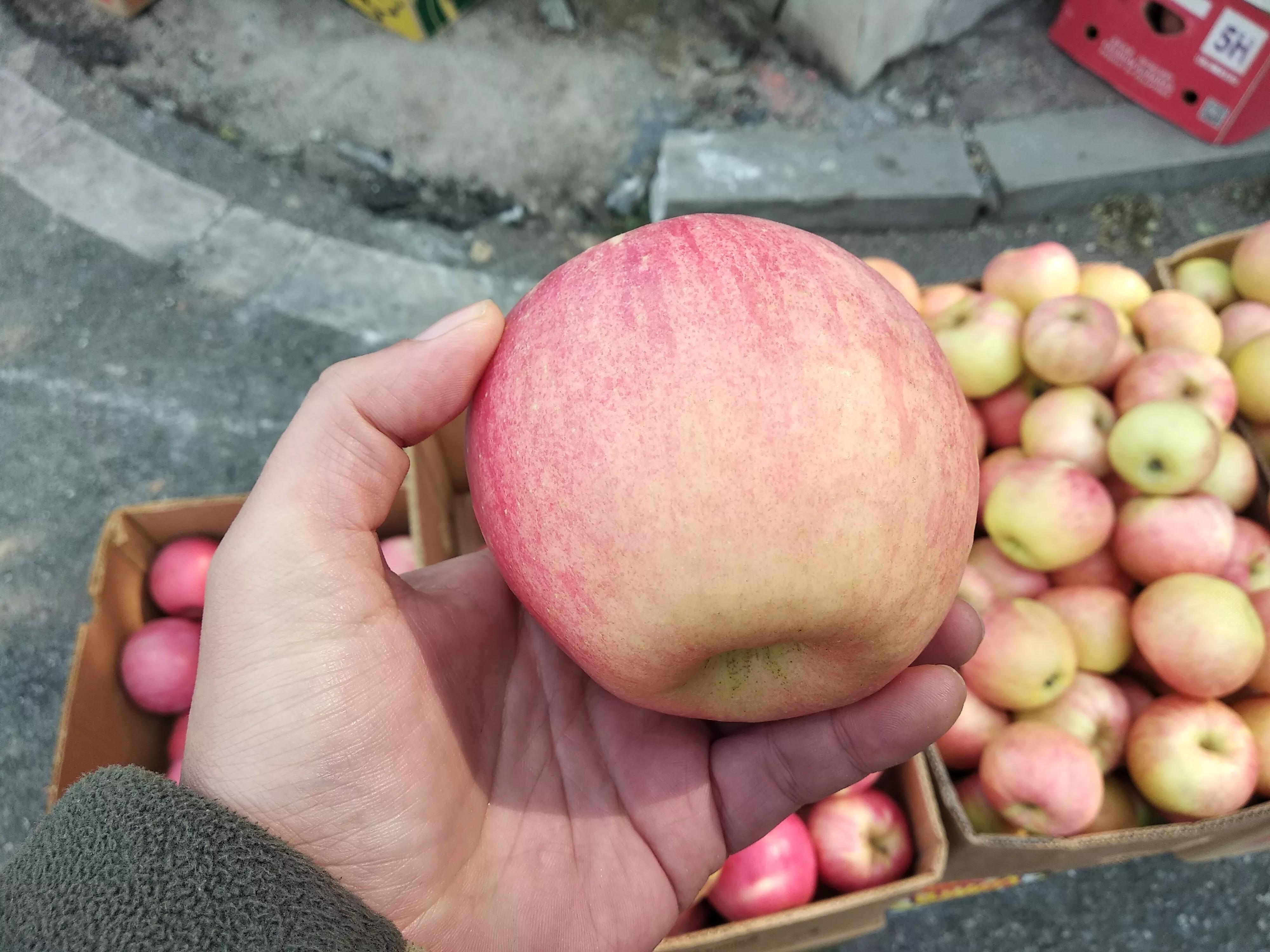 苹果应该买哪种品种,买苹果选哪种好吃