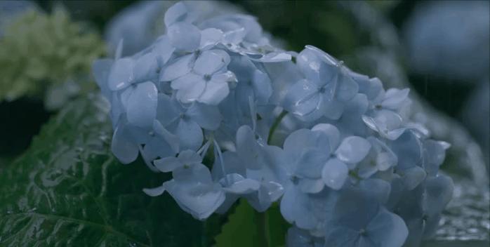 rio微醺广告植入,rio微醺广告代言人都有谁