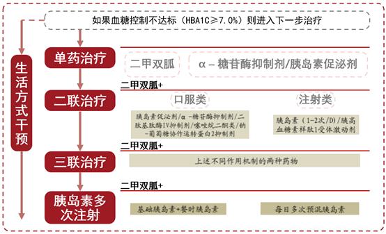 国内糖尿病药龙头企业,糖尿病新药市场前景