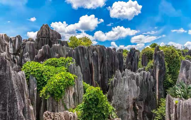 一生必去一次的云南之旅,一生必去的中国50个最美地方云南