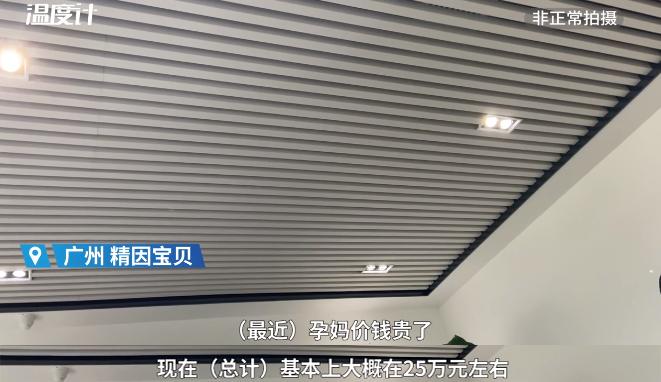 “25万出租子宫”短片被围观5.5亿次：你赚钱的样子，真丑！