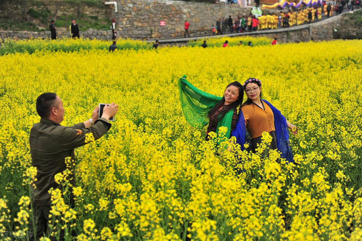 农村致富门路什么项目好,农村怎么创业致富的好项目