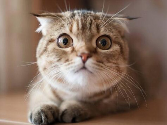 必囤这些ui设计小技巧你知道几个,零基础怎样学习ui设计实用技巧