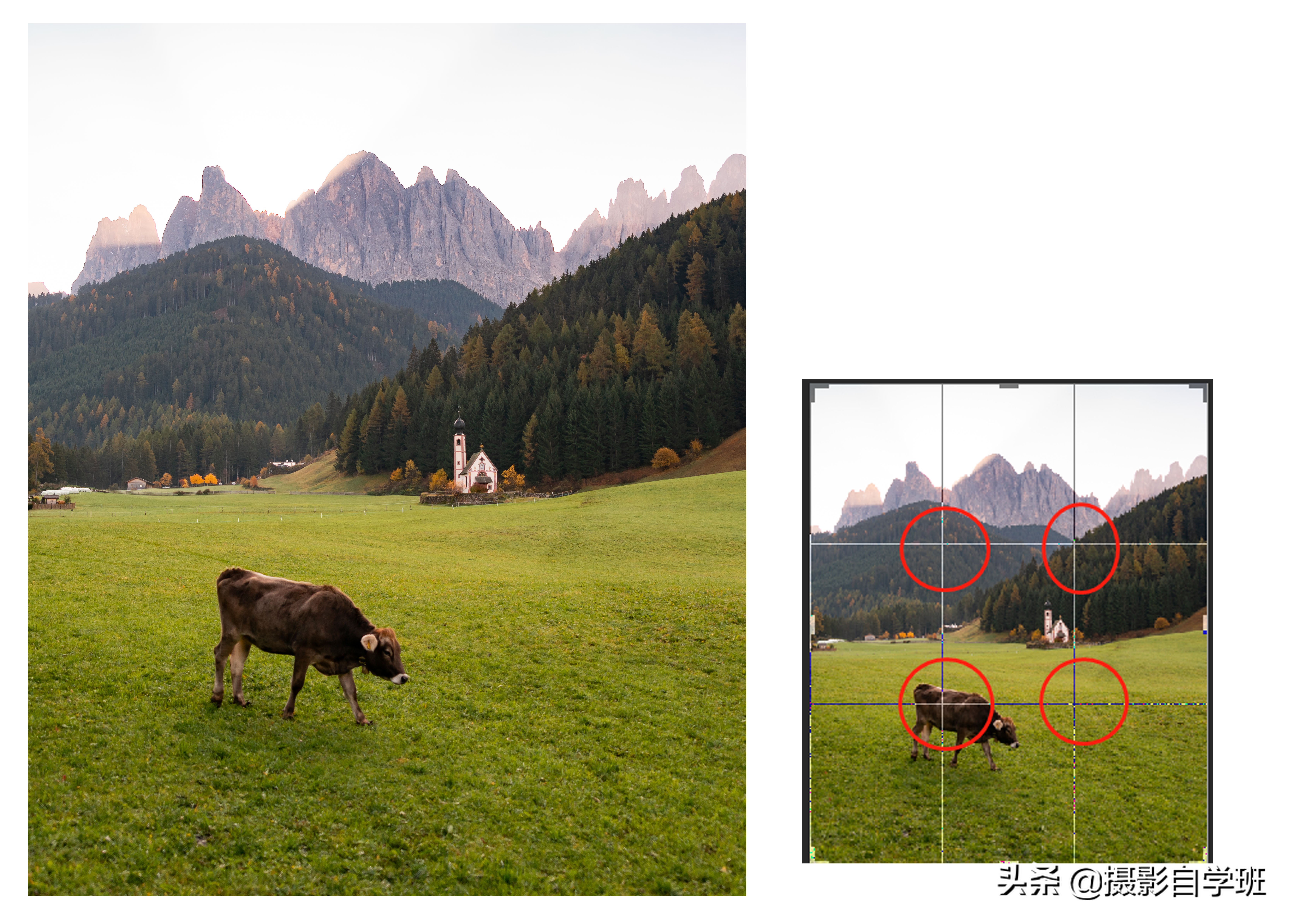 苹果手机拍照功能全部技巧教程,苹果手机的拍照技巧的正确使用