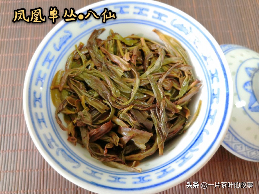 凤凰单丛入门标杆,全方位了解凤凰单丛