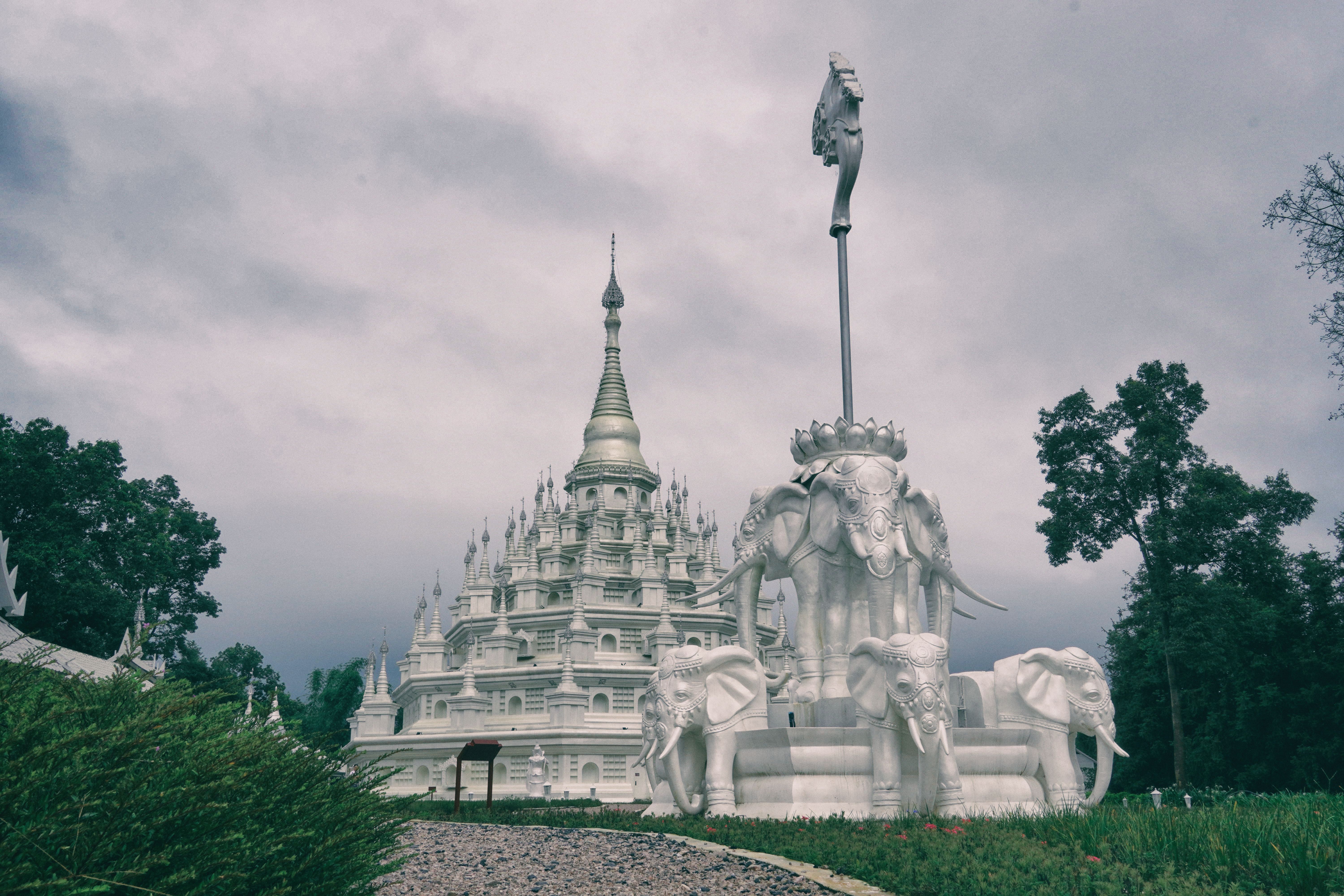 在祖国的边疆,在祖国西南边陲的云南省