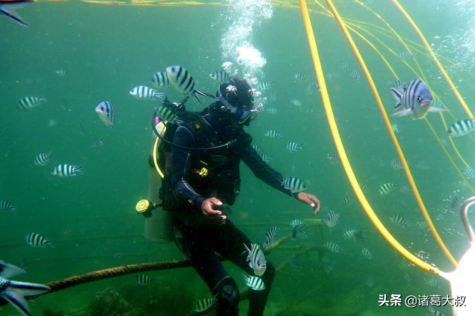 去一趟马来西亚要花多少费用,去一趟马来西亚一天游