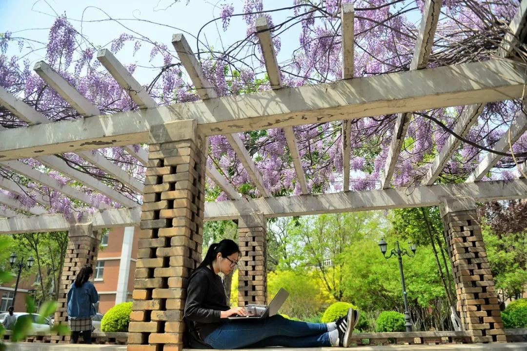 天津春天最美的花园,天津春天去赏花