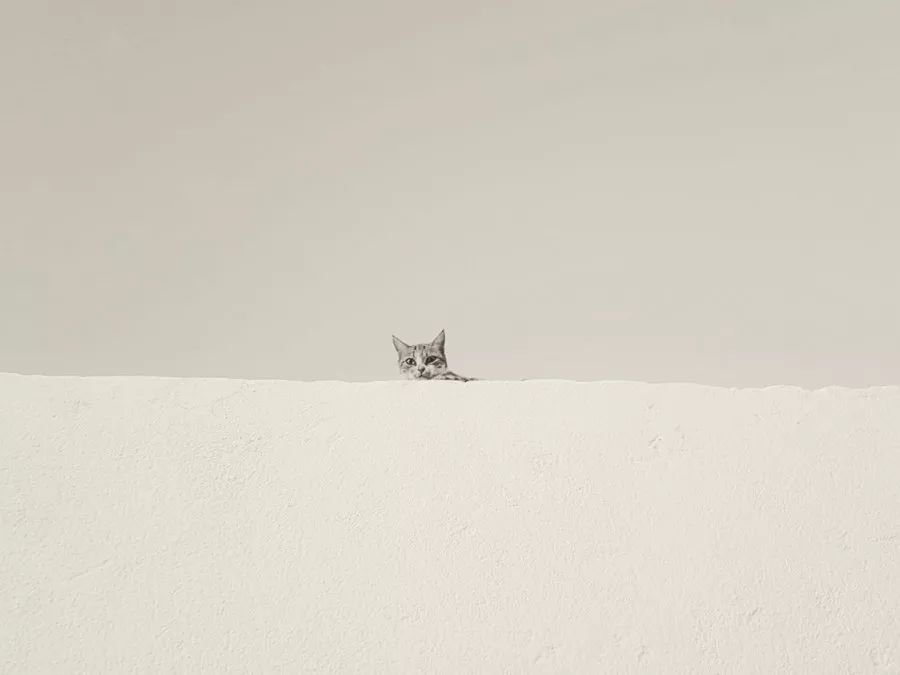 摄影小白适合拍什么,摄影小白拍人像用什么好