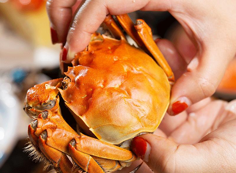 上海海鲜帝王蟹自助高端,上海帝王蟹波龙自助