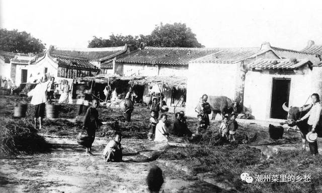 潮汕历史最严重瘟疫,潮汕鼠疫有多严重