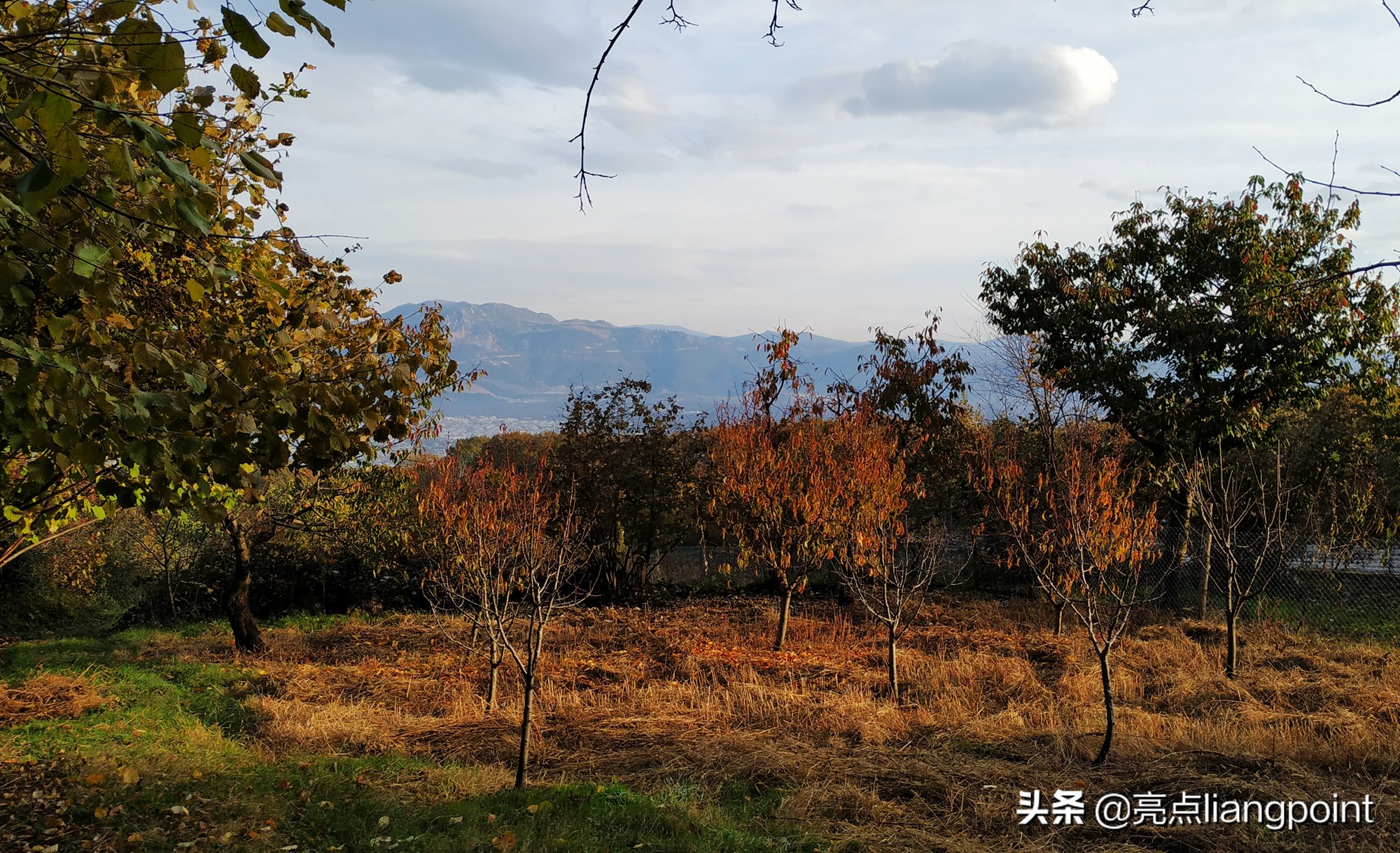 为了这个传统的奥斯曼早餐值得专门跑一趟