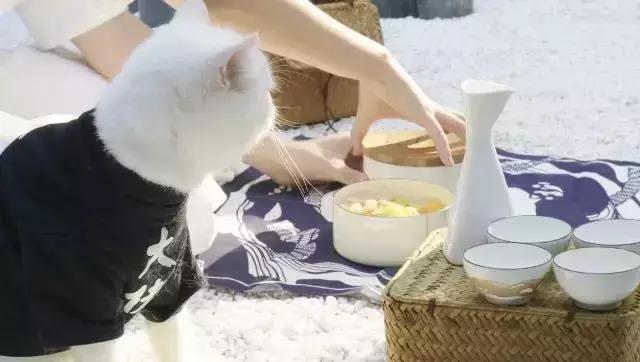 外卖小哥和女朋友分手后续 (和外卖员分手的理由)