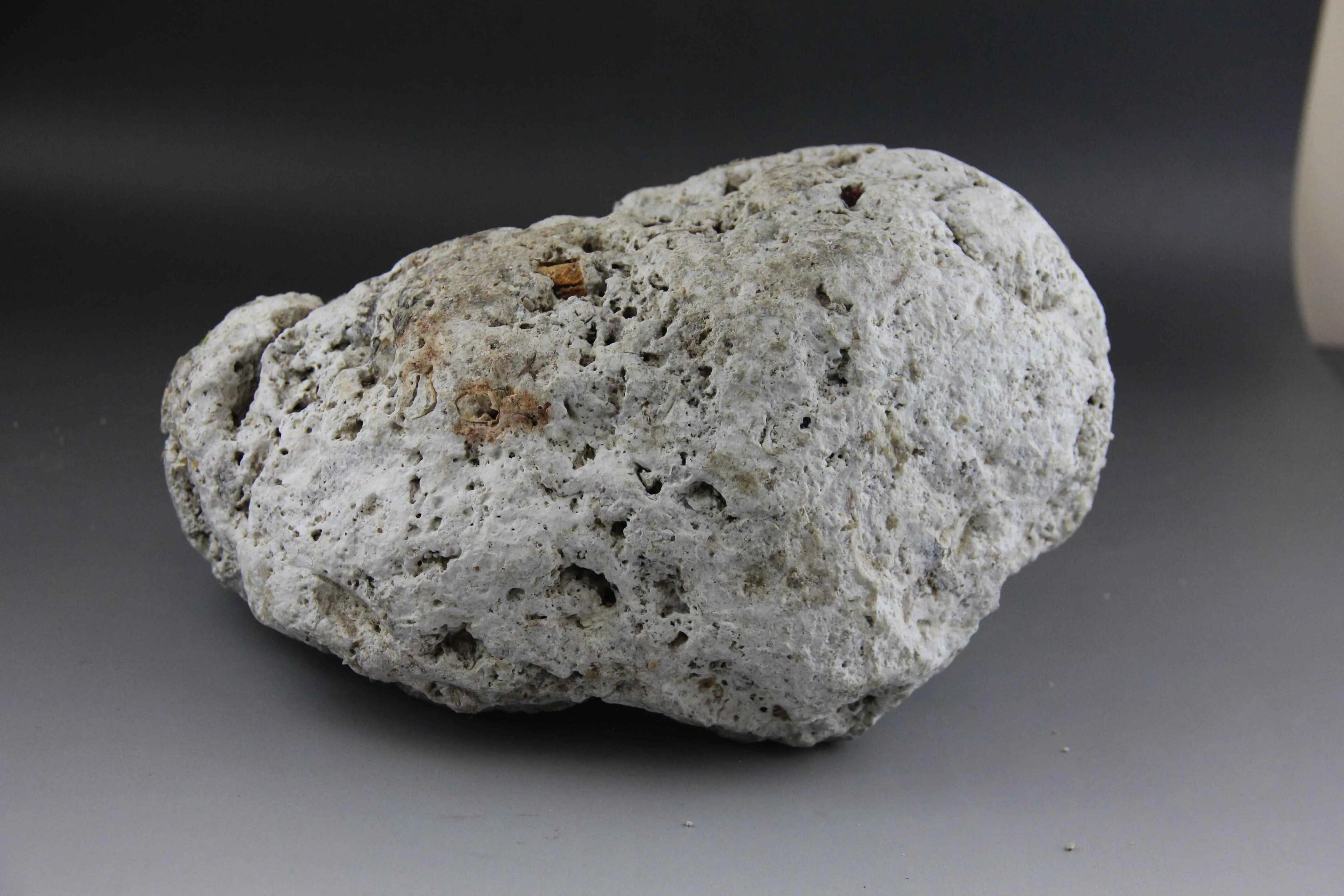 10个冷知识：狗不理包子是怎么来的？