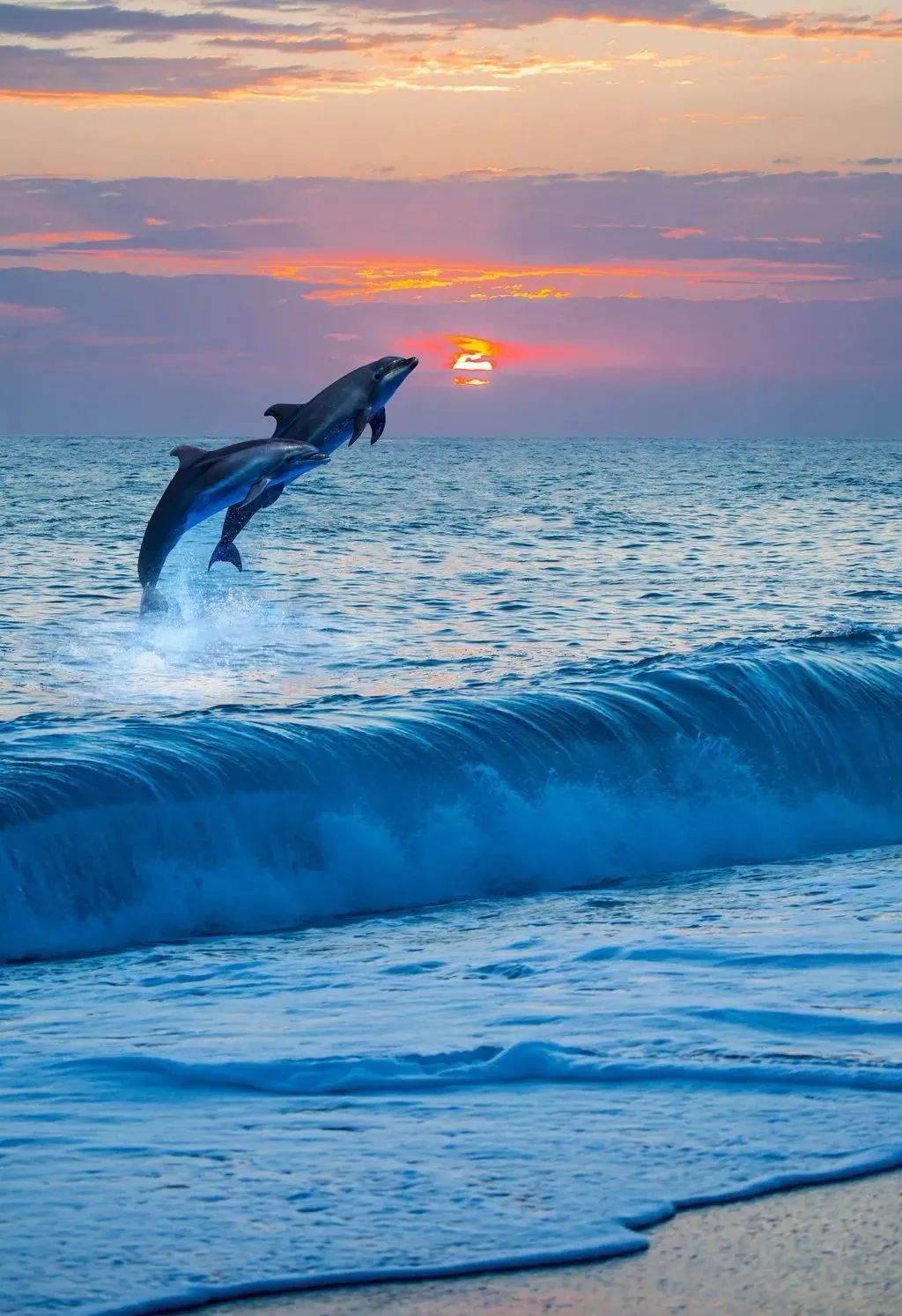 爱一个人是爱还是放手好纠结,爱一个人不应该那么卑微