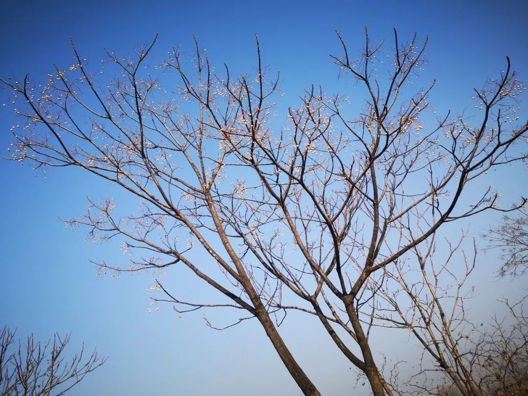 忆乡情食品专营店,忆乡情诗句