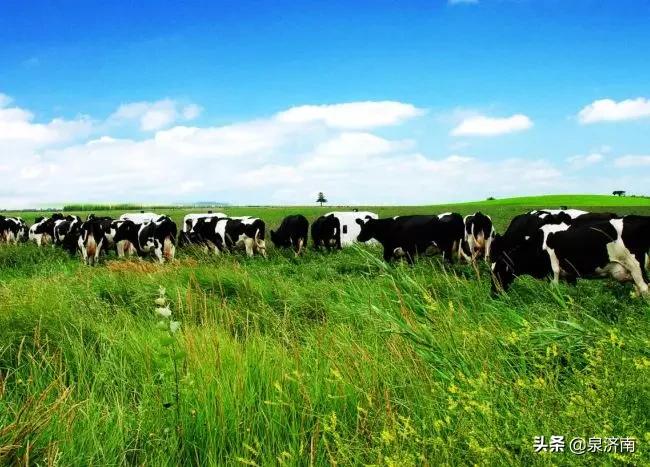 长清万德2024年重点项目,长清产业新城项目进度