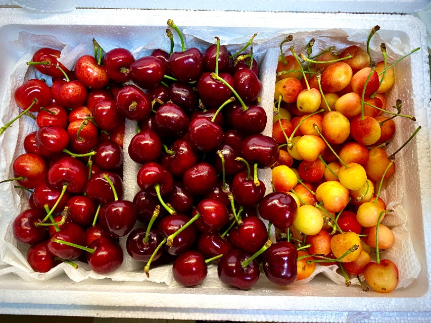 水果预售成功案例,网络卖水果骗局揭秘视频